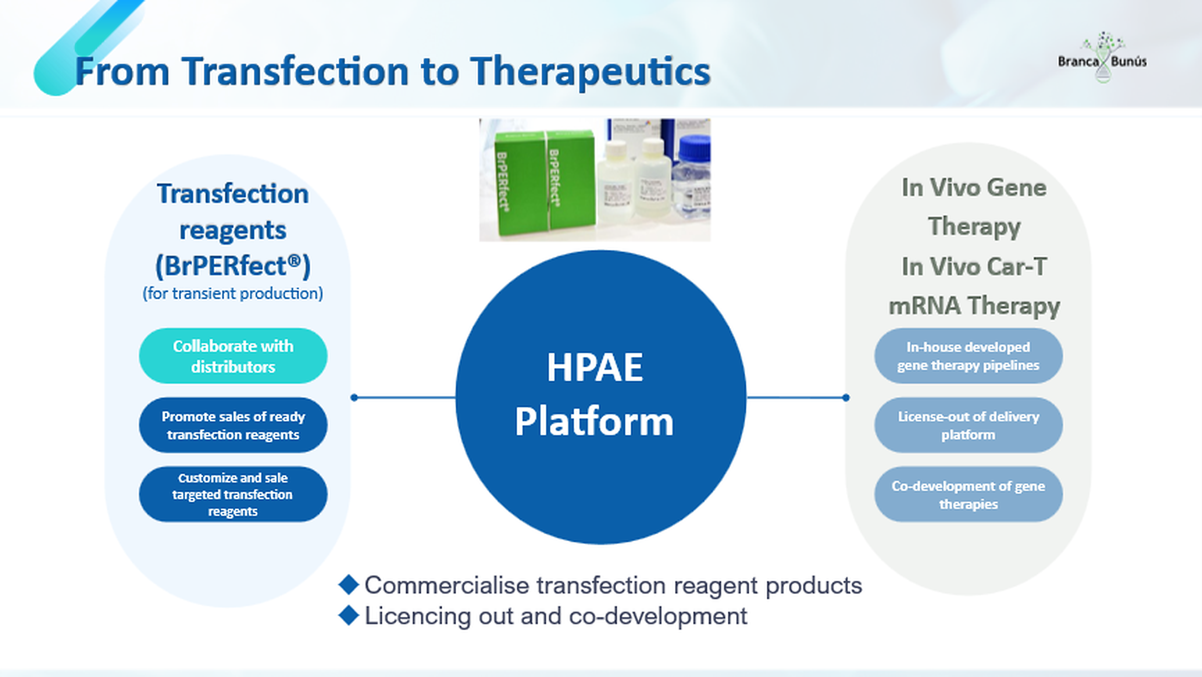 From Transfection to Therapeutics scheme showing the HPAE platform progression