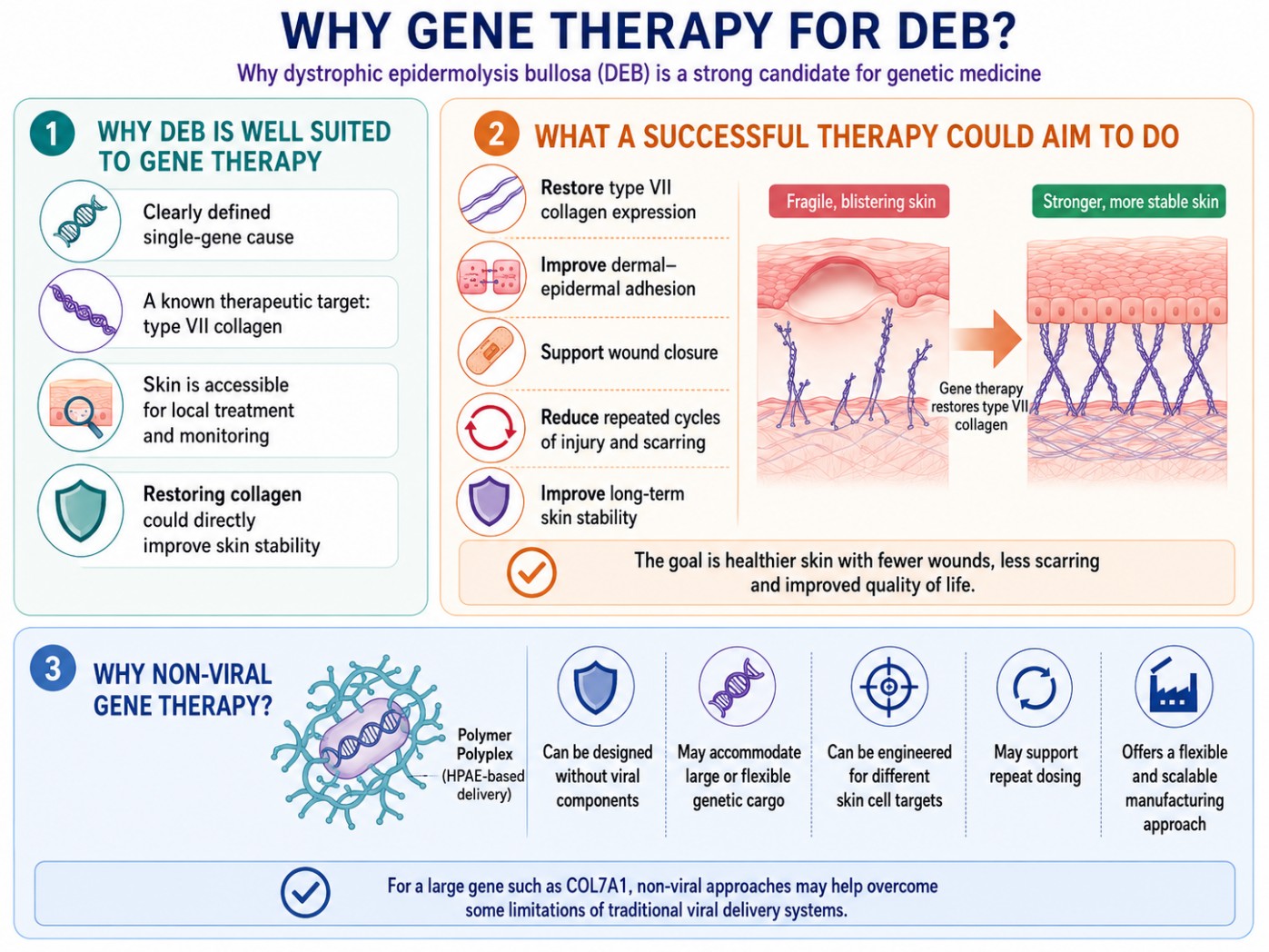 Scientific rationale for gene therapy in DEB and potential therapeutic aims