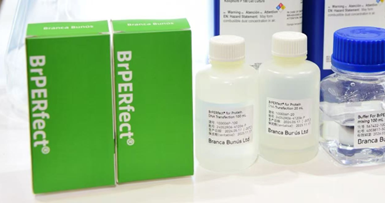 BrPERfect HPAE transfection reagent product packaging