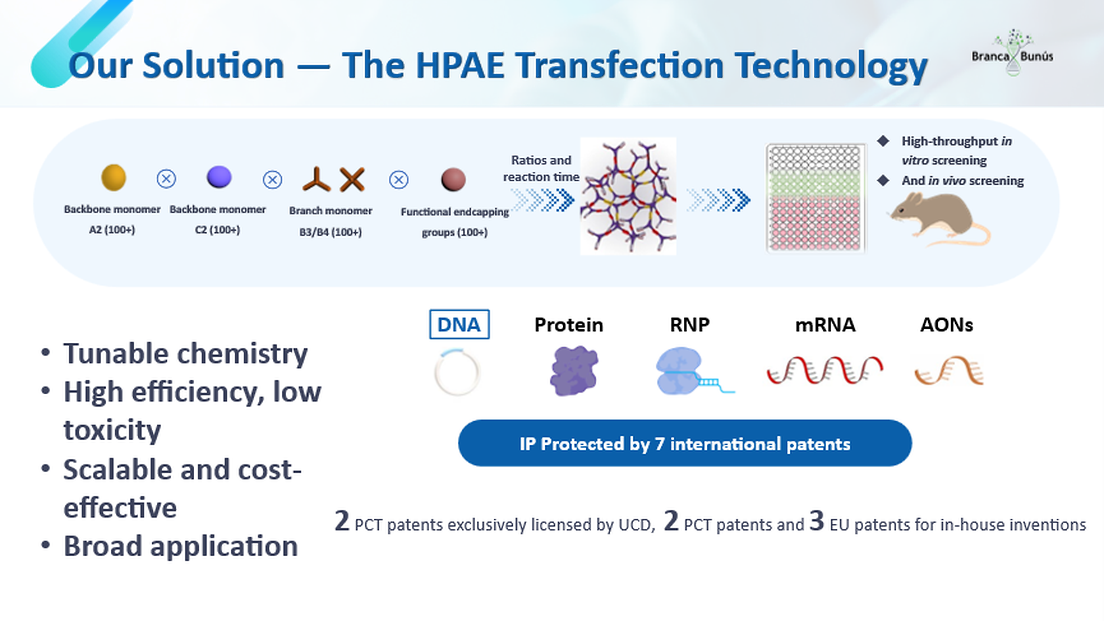 Our Solution: HPAE transfection technology scheme